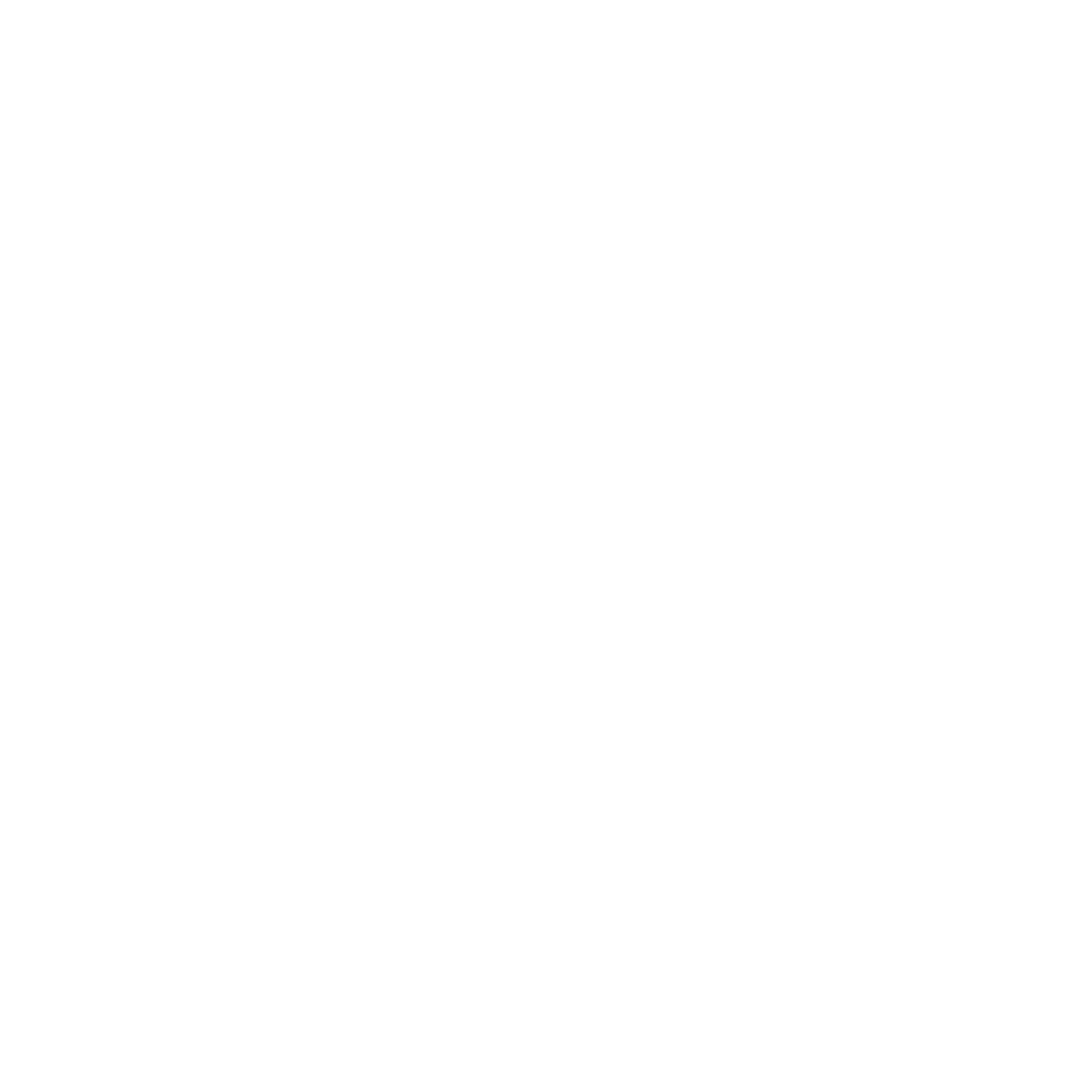 بازرگانی استادی